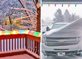 20+ kép, mely megmutatja a hó hipnotizáló erejét