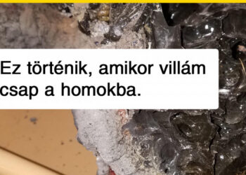 21 izgalmas kép, amelyet a világ legnagyobb lexikonjaiban sem fogunk megtalálni