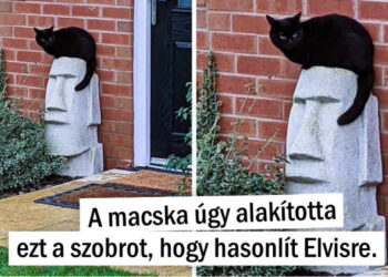 15 alkalom, mikor az emberek a legszokatlanabb dolgokat észlelték