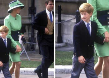 7 alkalom, mikor Diana hercegnő megszegte a királyi szülői szabályokat