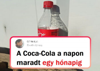 19 személy, aki látott valami olyan lenyűgözőt, hogy nem tudtak mit tenni, elmesélték mindenkinek