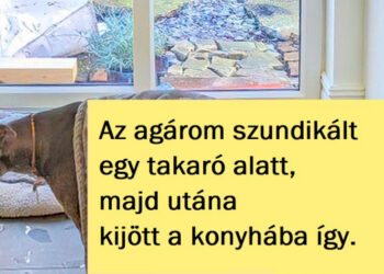 15+ kép, amik éppen a megfelelő pillanatban készültek