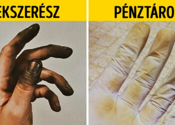 20+ személy megmutatta, hogyan néz ki náluk egy tipikus munkanap