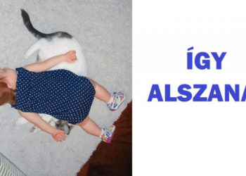 15 felvétel, ami bizonyítja, hogy a gyermekek és a háziállatok ugyanazon puzzle darabjai