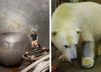 24 személy, aki meglepő részletre lett figyelmes a leghétköznapibb dolgokon