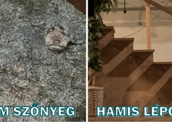 15+ fotó, amik totálisan kibillentik az agyadat