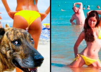 25 felvétel, mely puszta véletlenségből lett ilyen szuper menő