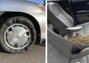 15 sztori, ami komolyan meglepte még a tapasztalt autószerelőket is