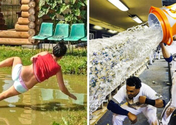 20 fénykép, amelyet olyan tökéletesen időzítettek, hogy díjat érdemelnének érte