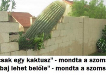 21 személy, akinek a szomszédjaira nem fogsz irigy lenni