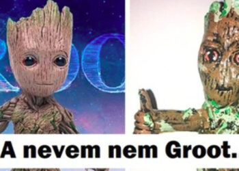 21 elképzelés vs valóság fénykép, mely igazolja, hogy nem szabad mindig hinni a szemünknek