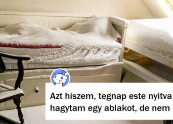 20 felvétel, amit a szótárban a „rossz nap” mellé kellene elhelyeznünk