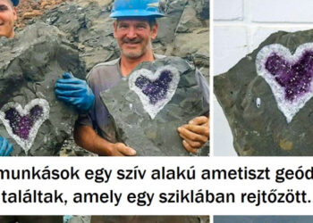 20 alkalom, mikor a szerencse meglepte az embereket