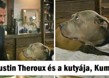 18 fénykép hírességekről és háziállataikról, melyek képesek eloszlatni minden komor felhőt