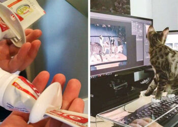 15 zseniális szerkentyű, amelyekről soha nem sejtettük volna, hogy szükségünk lenne rá (de mégis)