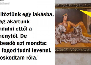 13 főbérlő, akiknek hihetetlen képességük van arra, hogy a bérlőiket a végtelenségig bosszantsák