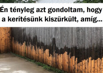 20 alkalom, mikor az emberek nem akartak hinni a szemüknek alapos takarítás után