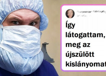 15 jóvágású srác, akinek a szakállának saját személyisége és története van