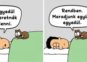 Egy művész bemutatja, hogy milyen szórakoztató az élet, mikor egy macska megengedi, hogy a házában lakj