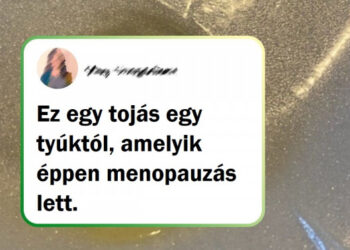 20 személy, aki véletlenül megtalálta a választ sok „mi történne, ha” kérdésre