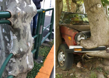 A természet 18 elképesztő győzelme az emberiség és annak alkotásai felett