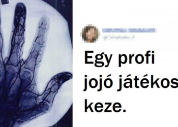 20+ felvétel, amit valószínűleg még a legnagyobb enciklopédiákban sem fogsz megtalálni