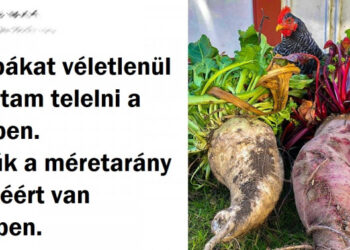 15+ szemfelnyitó kép, mely bemutatja, mi történik, ha egyszerűen magára hagyod a dolgokat