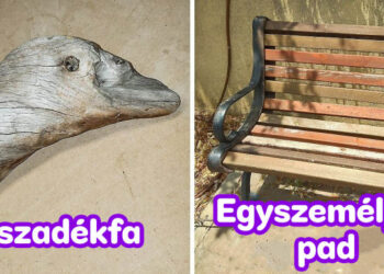 25+ személy, aki rábukkant valami rendkívülire, és az egész interneten szétkürtölte