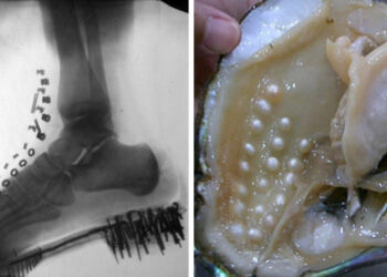 20 lebilincselő felvétel, szokatlan dolgokról