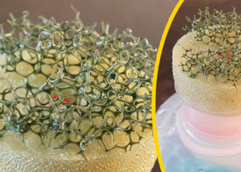 19 kép, amely örök rejtély marad számodra, amennyiben nem olvasod el a hozzá mellékelt megjegyzést