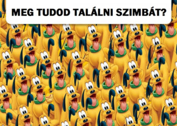 Találd meg az oda nem illő rajzfilmfigurát, és bizonyítsd be, hogy sasszemed van!