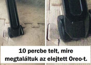 17 példa a tökéletes álcázásra, amelytől minden ninja sárga lesz az irigységtől