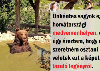 24 alkalom, mikor a természet úgy döntött, hogy meglátogat minket