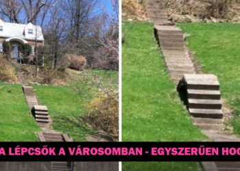 20 alak, akik elgondolkodtattak bennünket, hogy vissza kellene menniük a tervező iskolába