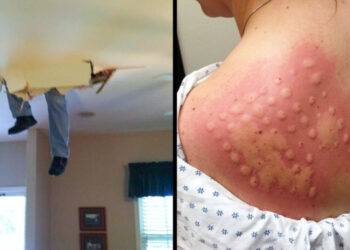 20 szemléletes bizonyíték, hogy az élet oda üt, ahol a legjobban fáj