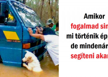 26 lelkesítő fénykép, mely feldobta a napunkat