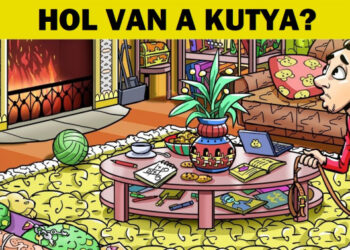 Teszteld, mennyire éles a látásod, amennyiben megtalálod az elveszett tárgyakat ezeken a képeken