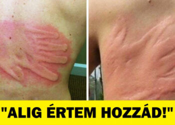 20 kőkemény család, ahol a béke egy idegen fogalom