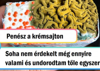 21 felvétel, amik bizonyítják, hogy az élet egy meglepetésekkel teli doboz