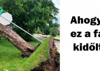 15 alkalom, mikor a természet bebizonyította, hogy a legerősebb erő a Földön