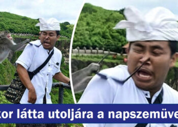 17 fotó, ahol a káosz a sarkon túl várakozik