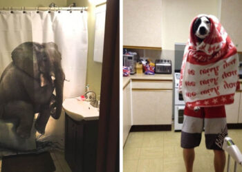 15 férj, akik mellett soha nem lehet unatkozni