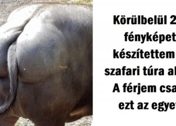 22 kép, mely bebizonyítja, hogy a férfiak igazi szakértők az idő hasznos eltöltésében