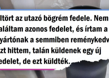 19 kép, melyek bizonyítják, hogy a szolgáltatás hihetetlenül szívhez szóló lehet