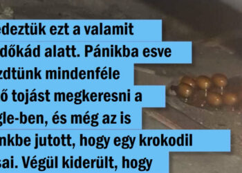 15 személy, aki talált valami sokkal menőbbet, mint egy pénzzel teli pénztárca