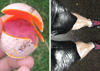 15 izgalmas fénykép, amely mellett a “mi lesz, ha…?” kérdések megválaszolásához már nincs is szükség szavakra