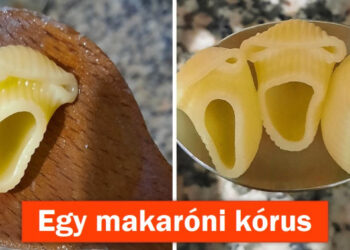 10+ fénykép, ami többet rejt, mint amelyet valójában látunk