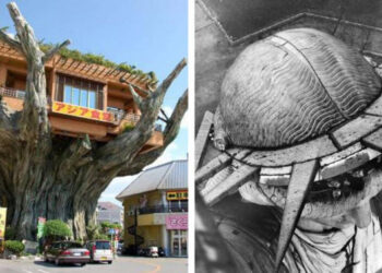 16 felvétel, melyek olyan ritkaságokat mutatnak be, amiket az átlagemberek sosem láthatnának