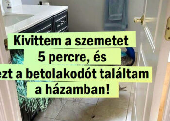 16 fénykép, amik bizonyítják, hogy a valóság furcsább, mint a fikció