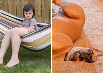 14 felvétel egyedi szögekből, melyek totálisan összezavarhatnak téged